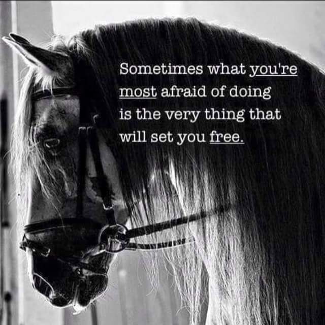 fb_img_1477443090594