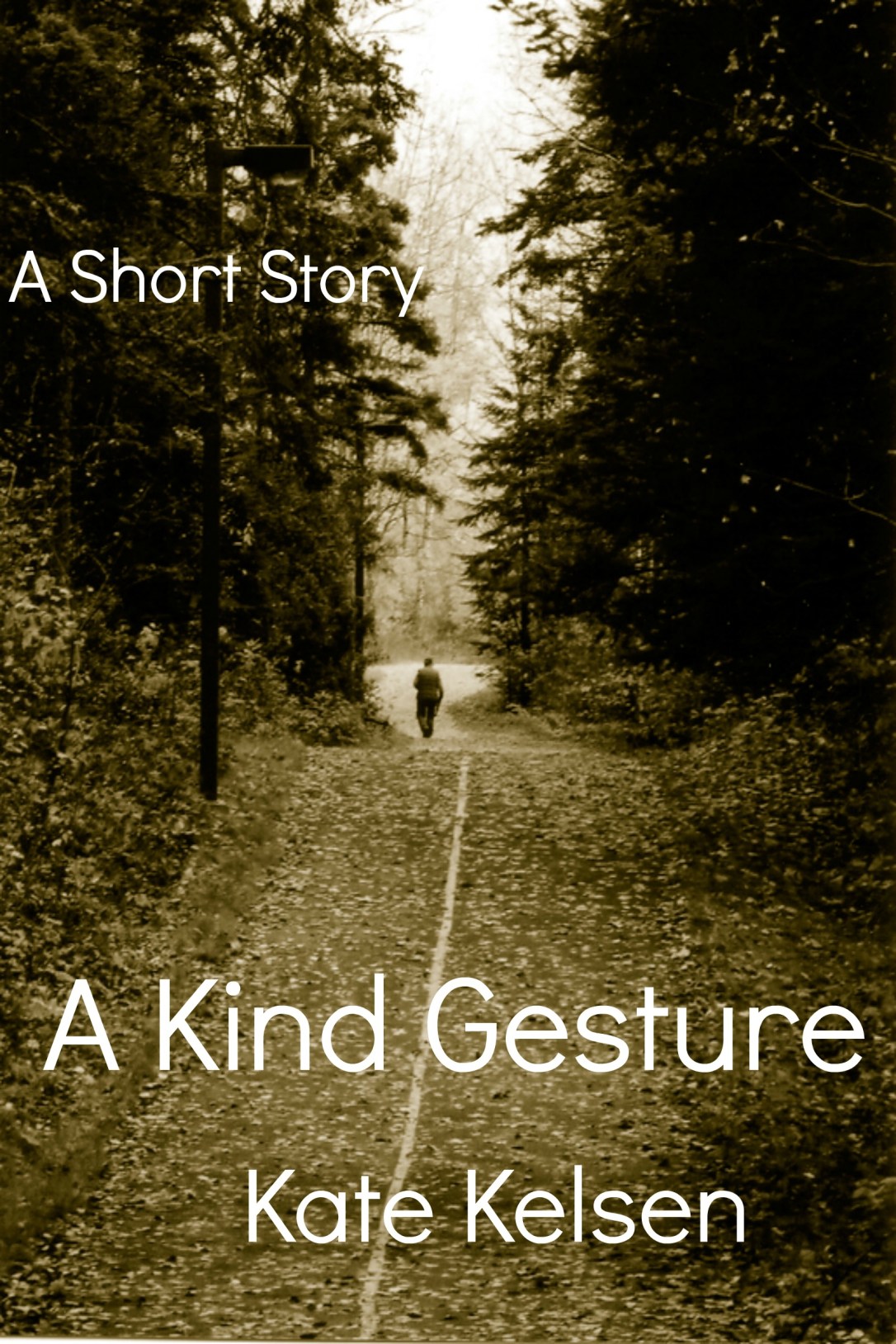 a-kind-gesture-kindle
