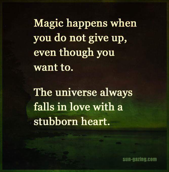 fb_img_1477831097628