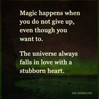 15350590_1231552263578007_9048760755852235974_n